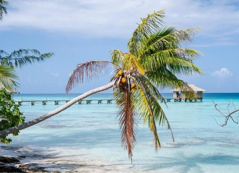 Sunset Hill Lodge Bora Bora Dış mekan fotoğraf